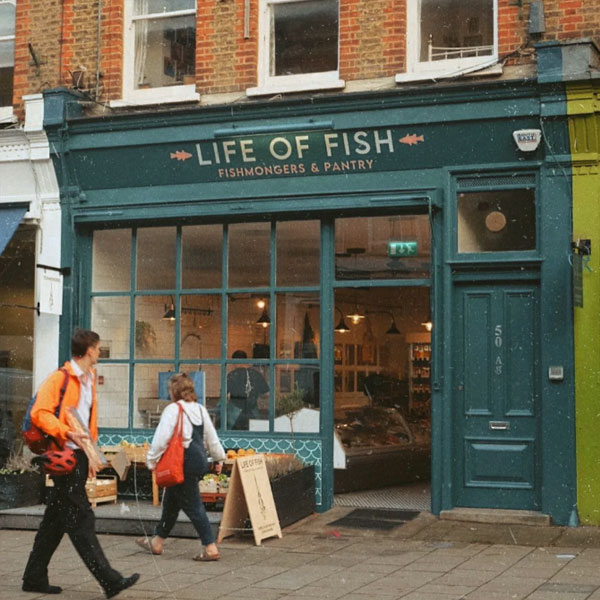 life-of-fish.jpg