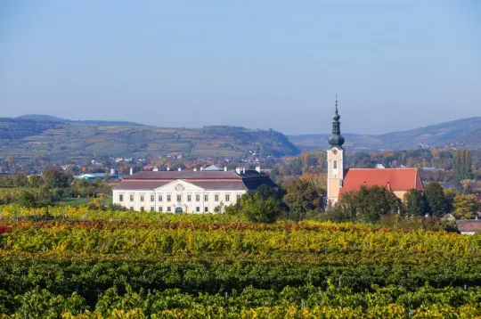 Schloss Gobelsburg Dinner